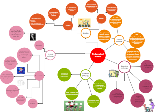 Pedagogical models