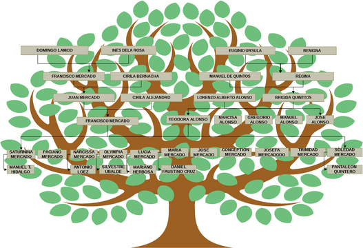 family tree | Visual Paradigm User-Contributed Diagrams / Designs