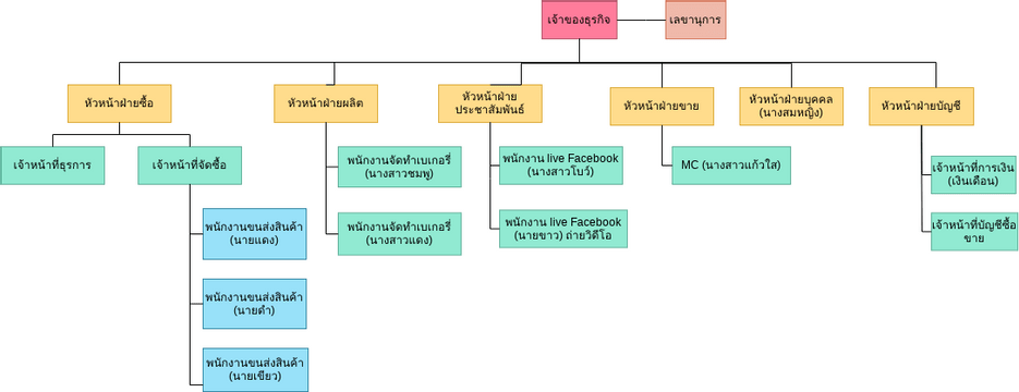 Rare C&B (Phetchabun) Organization Chart | Visual Paradigm User ...